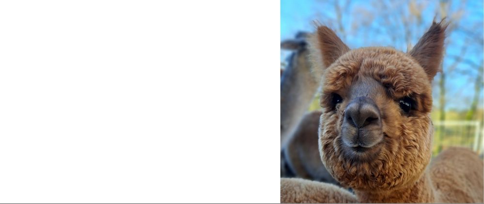 Flauschtasse - Flaviafluff - Linkshänder